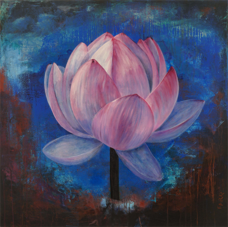 Pink flower unfolding against a blue background