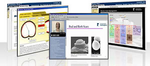 State of the art e-learning materials