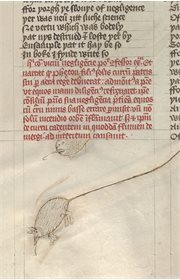 'Confessio Amantis' by John Gower, c.1425-1450
