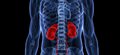 New care package can improve treatment of people with acute kidney injury, study finds