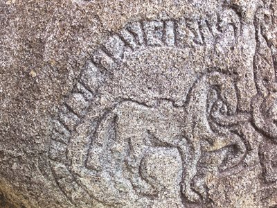 Photograph of a carved horse surrounded by a ring of carved runes on a large stone from Nova Scotia - image courtesy of Peter Whynot