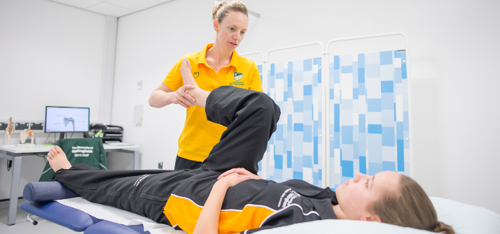 Physiotherapists working with a client