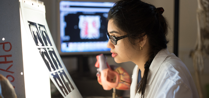 Medical student examining an X-ray