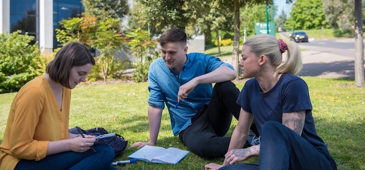 Group of postgraduate students studying together on the grass