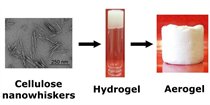 Cellulose Nanowhiskers