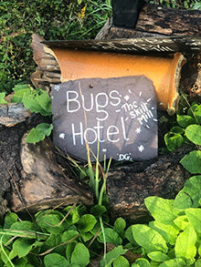Piles of logs and a sign saying bugs hotel