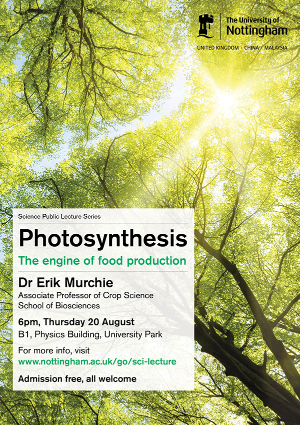Photosynthesis: the engine of food production