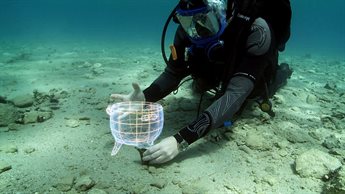 Diver underwater in ruins of Pavlopetri with reconstructed pot