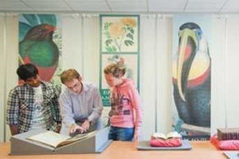 Three students looking at an old manuscript with colourful banners in the background featuring exotic birds.