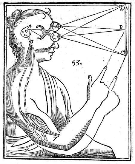 Line drawn image of a person pointing upwards to describe perception and subsequent movement. The diagram shows their eyes perceiving an arrow, her muscle contracting and arm moving. There are various lines, letters, numbers and symbols.