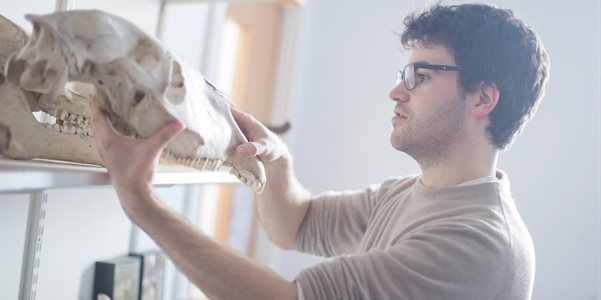 Photo of a young white man with dark curly hair holding a large animal skull, which is partially resting on a shelf