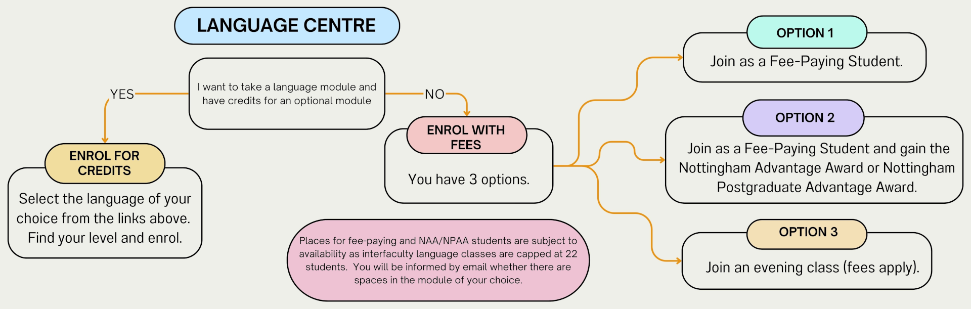 Flow chart showing options for fee paying language students. Details in text following the chart.