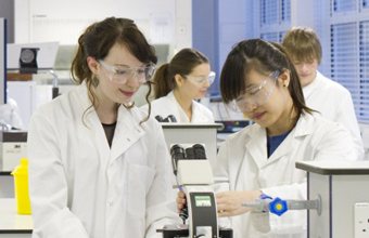 Undergraduate students work in a Life Sciences lab.