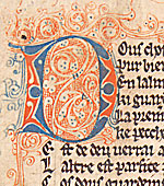 Detail from a folio from 'Manuel des Pechiés'