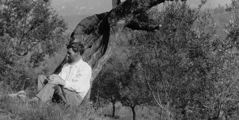 Black and white image of the author DH Lawrence sat underneath a tree