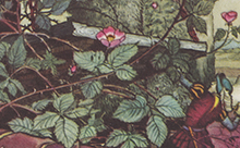 Part of an illustration of the Briar Rose, showing the prince trapped in the thorns, from 'BB's Fairy Book' (1948) From Tony Wilkinson Collection.