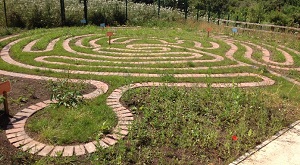 the completed maze