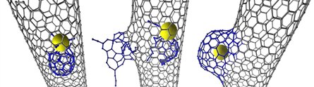 Carbon nanotubes with NanoBuds