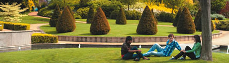 Postgraduate students relaxing in the Millennium Garden on University Park