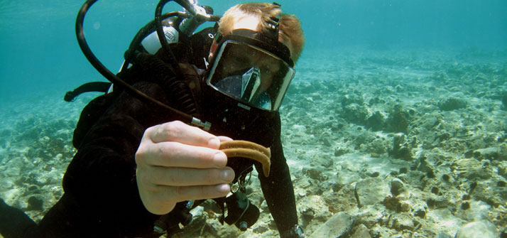 Pavlopetri underwater archaeology project