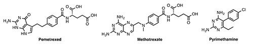 Chemical structures of Pemetrexed, Methotrexate and Pyrimehtamine