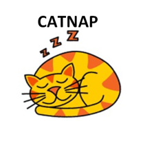 catnap