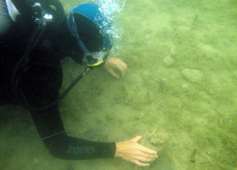 Nottingham student diving on Polanowo
