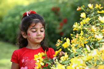 Young child looking at flowers in campus garden