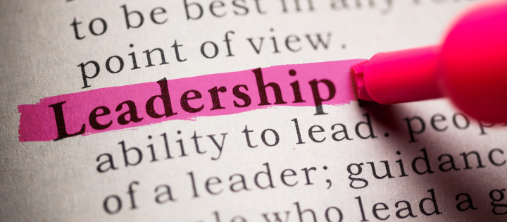 The word Leadership highlighted in pink