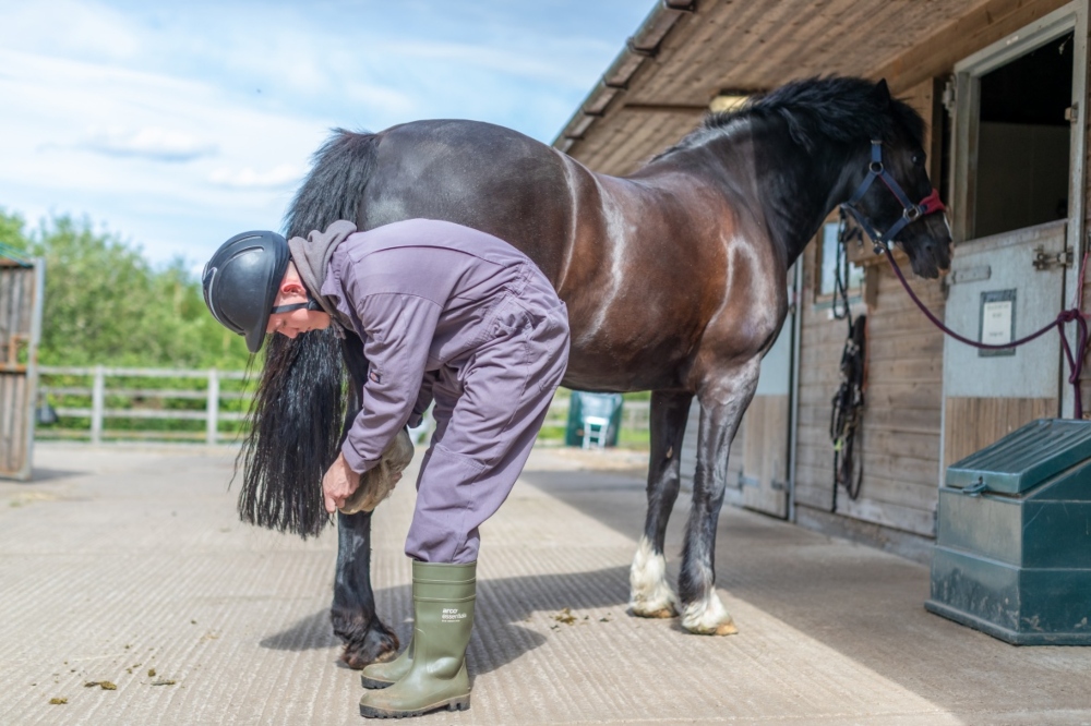 Vet examining the hoof of a horse