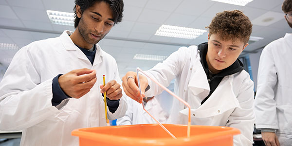 Students working in a laboratory