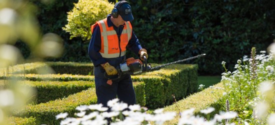 A grounds worker trimming hedges in the gardens