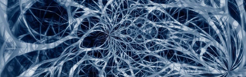 Nerves Network Nervous System
