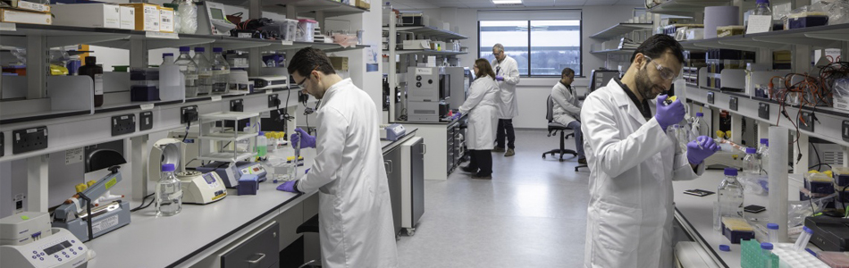 A group of researchers conducting research in a specialised lab