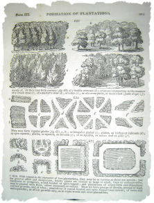 Loudens instructions for Plantations