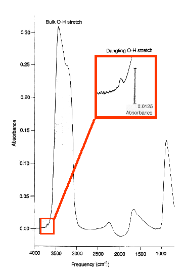 Dangling OH Bonds