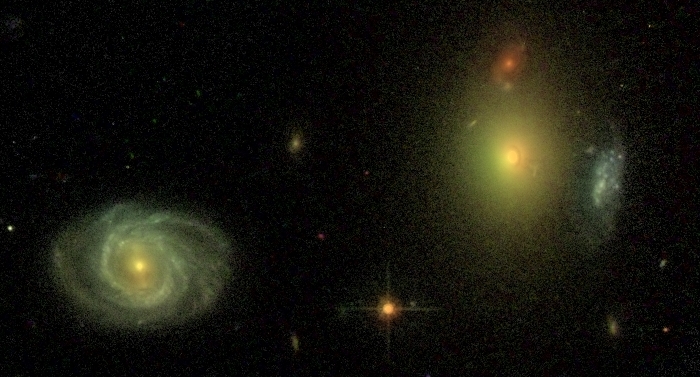 STAGES galaxies