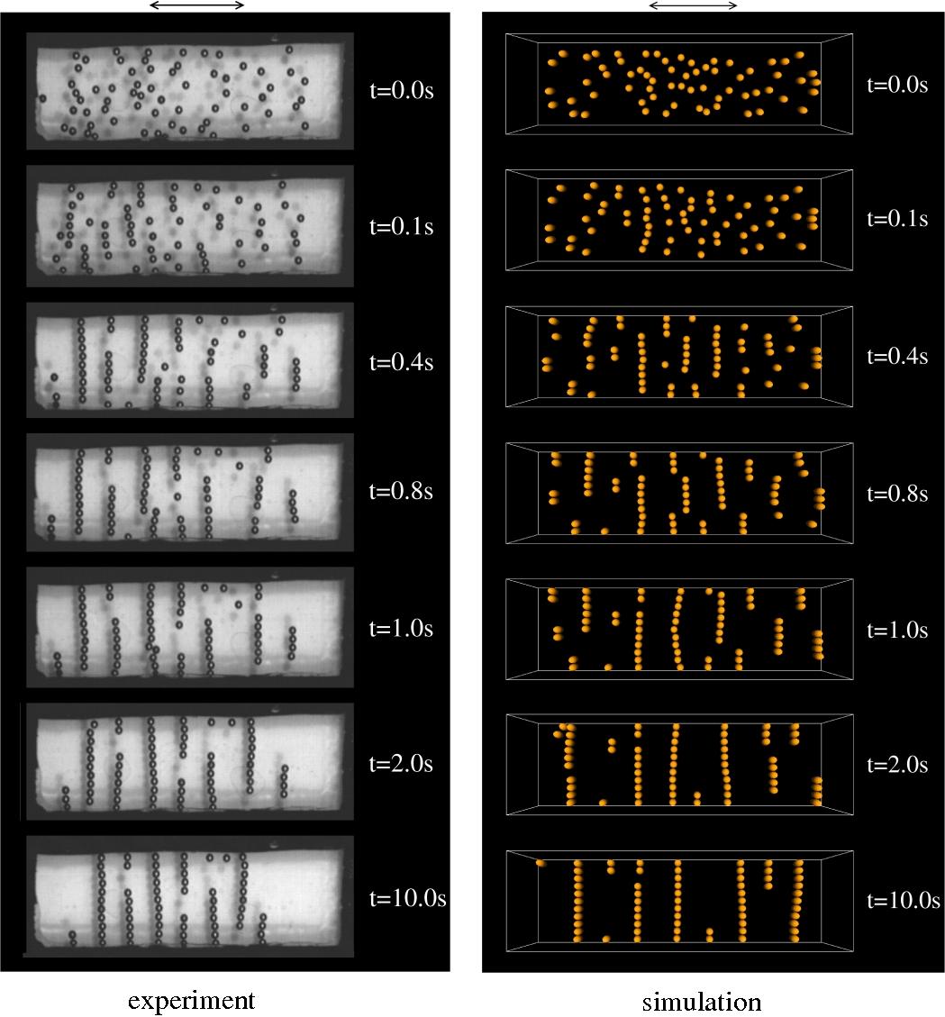 tilt simulation