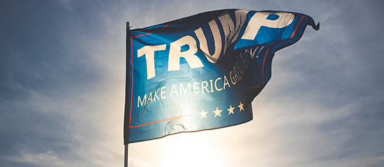 Trump flag 550x