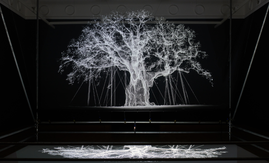 Mixed media exhibit of ghostly white tree in dark room