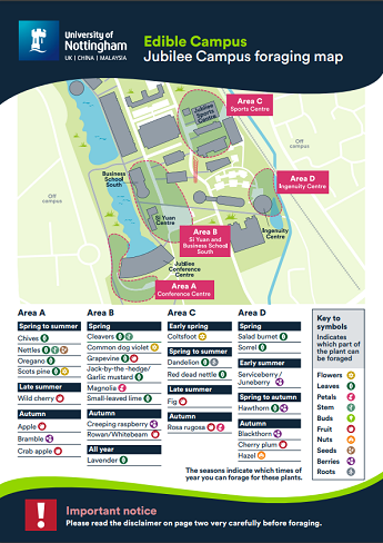 Edible campus map for the Jubilee campus detailing a list of where to find edible plants,