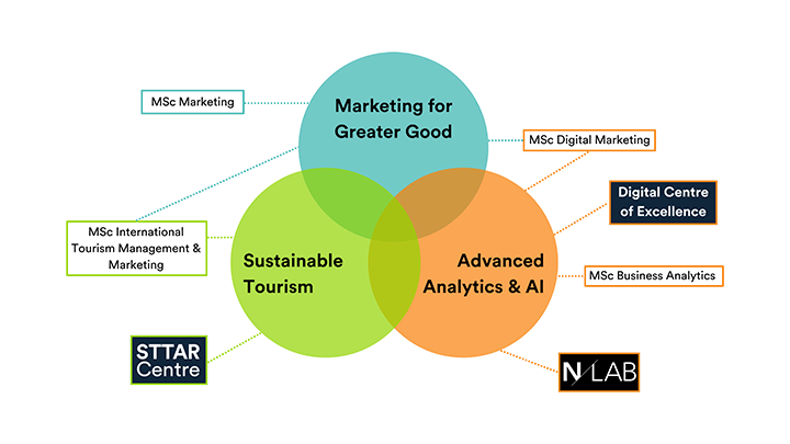 Marketing Infographic - Indicates the crossover between key research themes and the connections to programmes and research centres.
