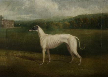 This is a painting of a greyhound in a landscape circa 1935