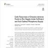 Early responses of Brassica oleracea roots to zinc supply