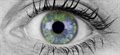 Scientists discover new layer of the human cornea