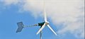 Personality clue to 'wind turbine syndrome'
