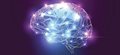 Brain chemical aids tic control in Tourette Syndrome, say researchers