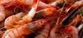 Surf and earth: how prawn shopping bags could save the planet