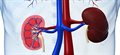 Few chronic kidney disease patients at risk from end-stage disease