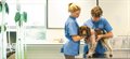 Nottingham Vet School first in UK for student satisfaction in all areas